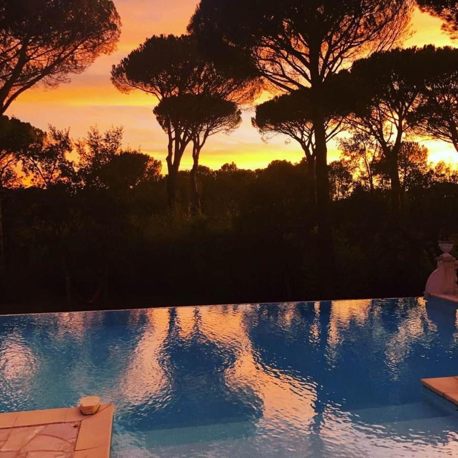 La Villa D'Aimee วิโดบ็อง ภายนอก รูปภาพ